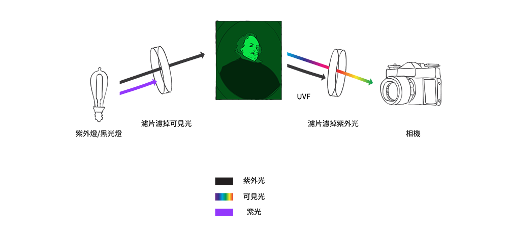 紫外光拍攝示意圖