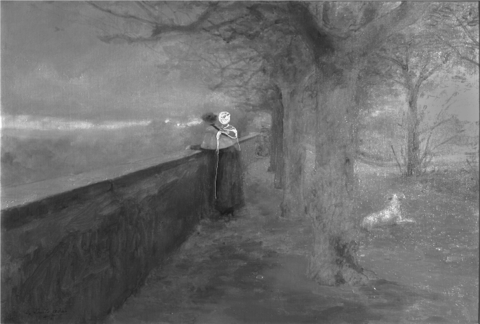 暮秋紅外線反射映像攝影