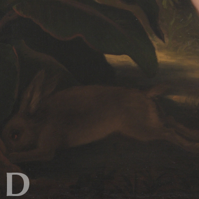 亞當與夏娃-兔子