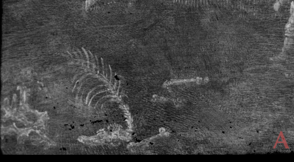 風車前的旅人-鉛元素分佈圖(細部) （Pb-L）