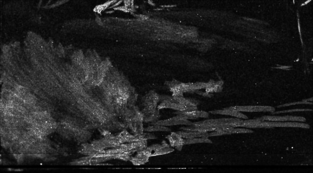 風車前的旅人鈦元素分佈圖（細部、加強對比）(Ti-K)