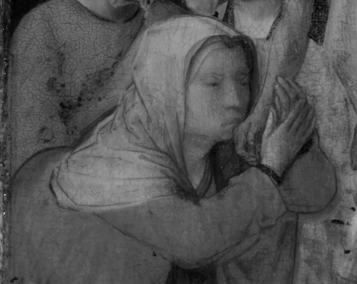 紅外線反射攝影