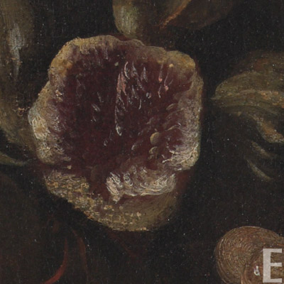 無花果：富裕豐盛與拯救之意