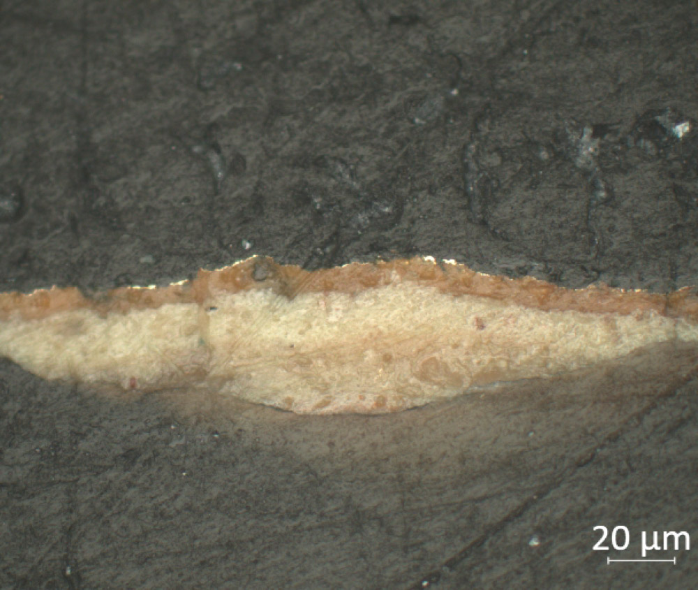 亞當與夏娃-獅子